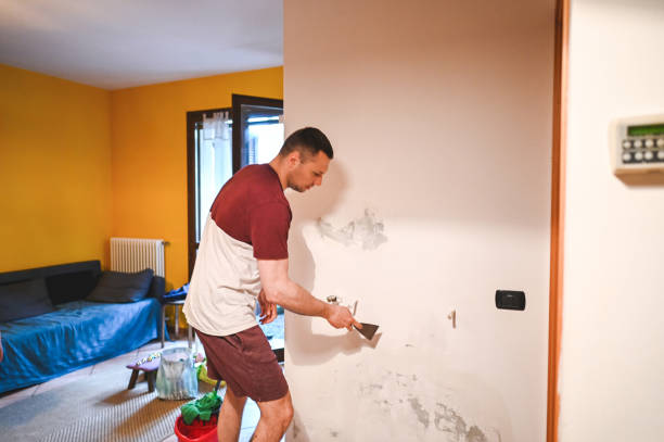Best Same-Day Mold Removal  in San Marcos, CA